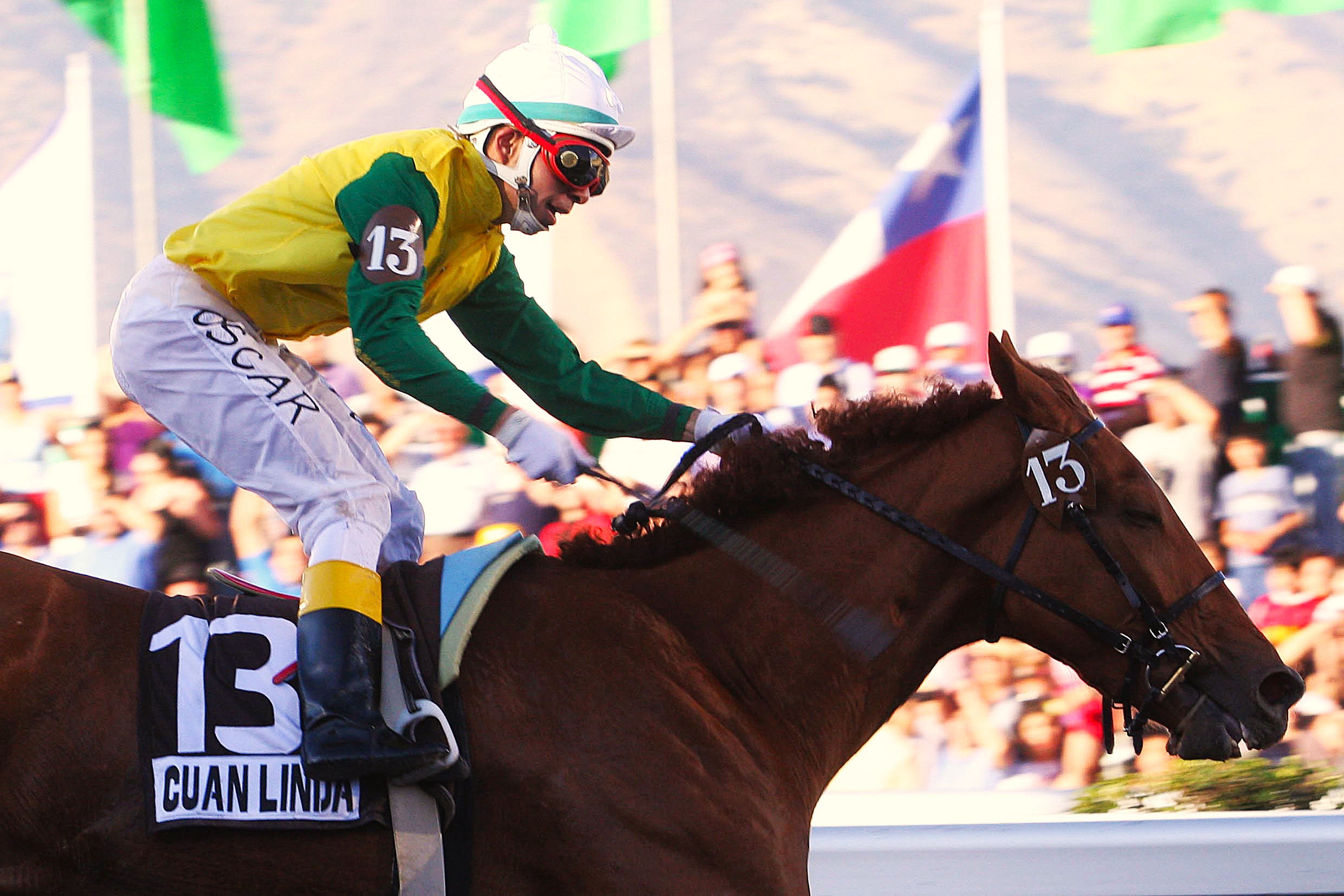 Cuan Linda, con las sedas del stud haras Carioca ganó el St. Leger, año 2009 junto a Oscar Ulloa y preparación de Antonio Abarca.