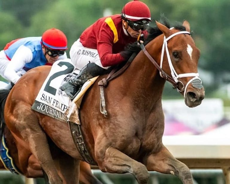 Journalism, de Don Alberto -USA  irá directo al Derby de Kentucky